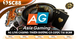AG Live Casino_ Thiên Đường Cá Cược Trực Tuyến Đẳng Cấp Tại SC88