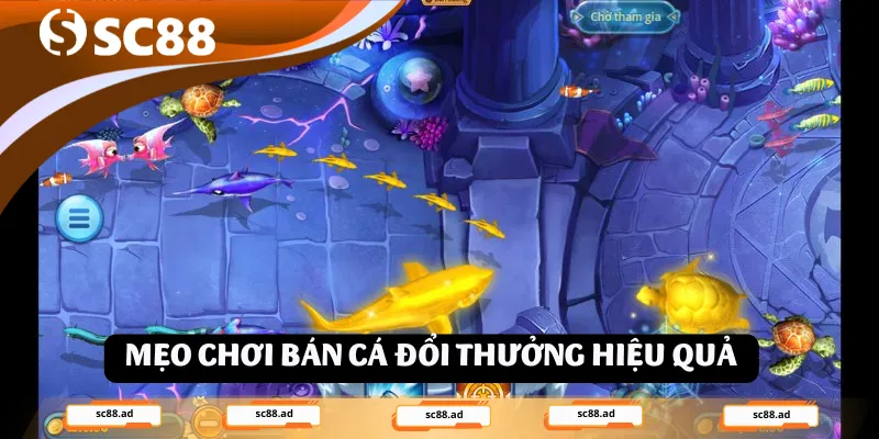 Mẹo chơi bán cá đổi thưởng hiệu quả
